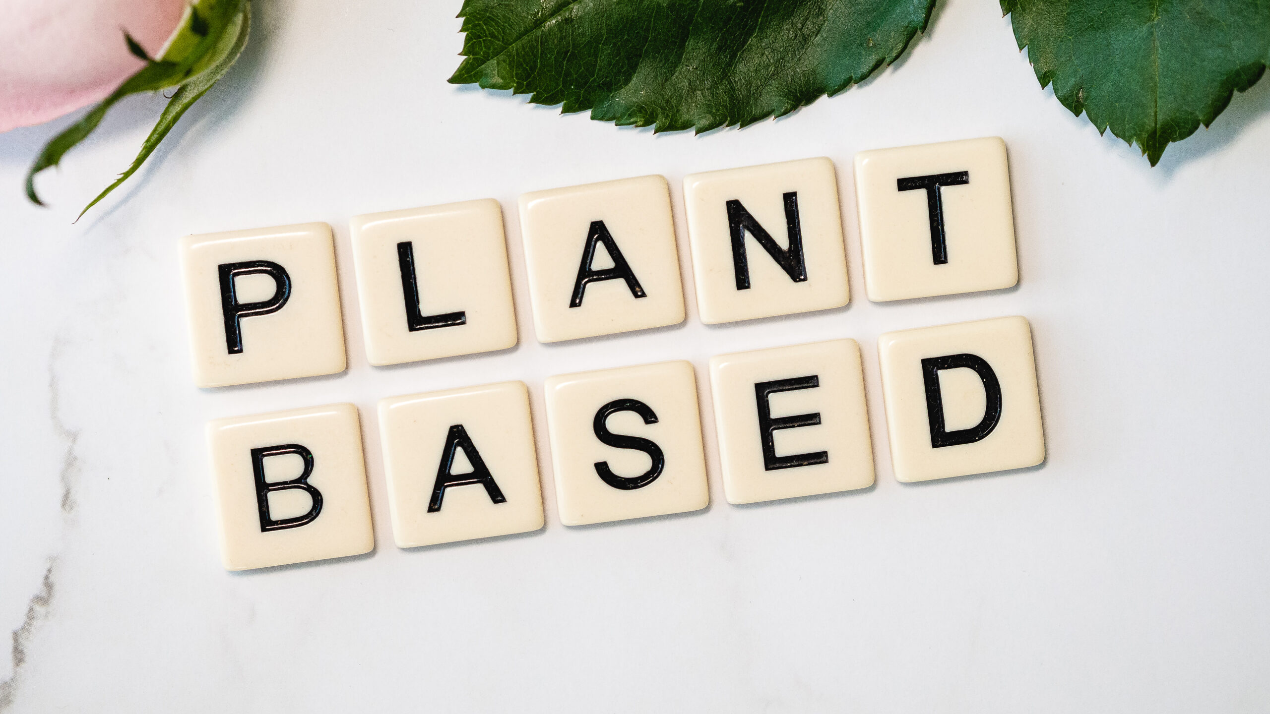 Vegan Comfort Food: Indulgent Plant-Based Recipes